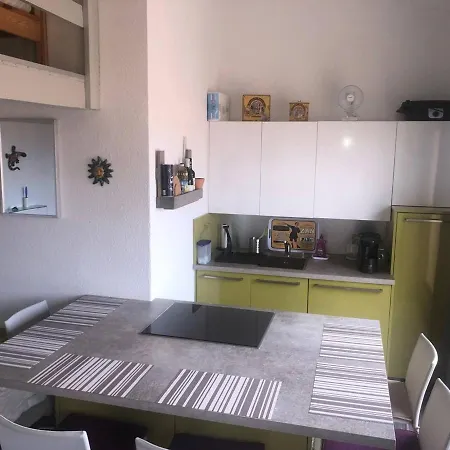 Apartamento Avec Terrasse, 4 Couchages, A Proximite, Parking - Fr-1-81-536 *