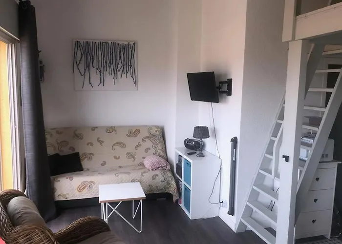 T1 Mezzanine 4 Pers Avec Clim Et Parking A Port - Fr-1-81-536 Apartment *