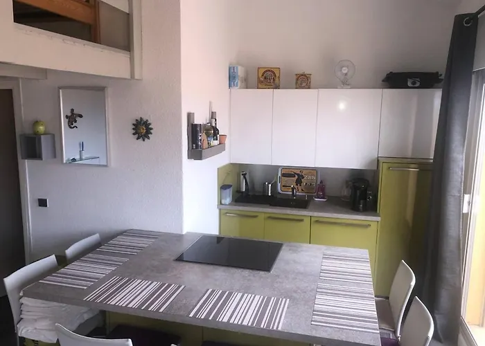 Apartment T1 Mezzanine 4 Pers Avec Clim Et Parking A Port - Fr-1-81-536 *